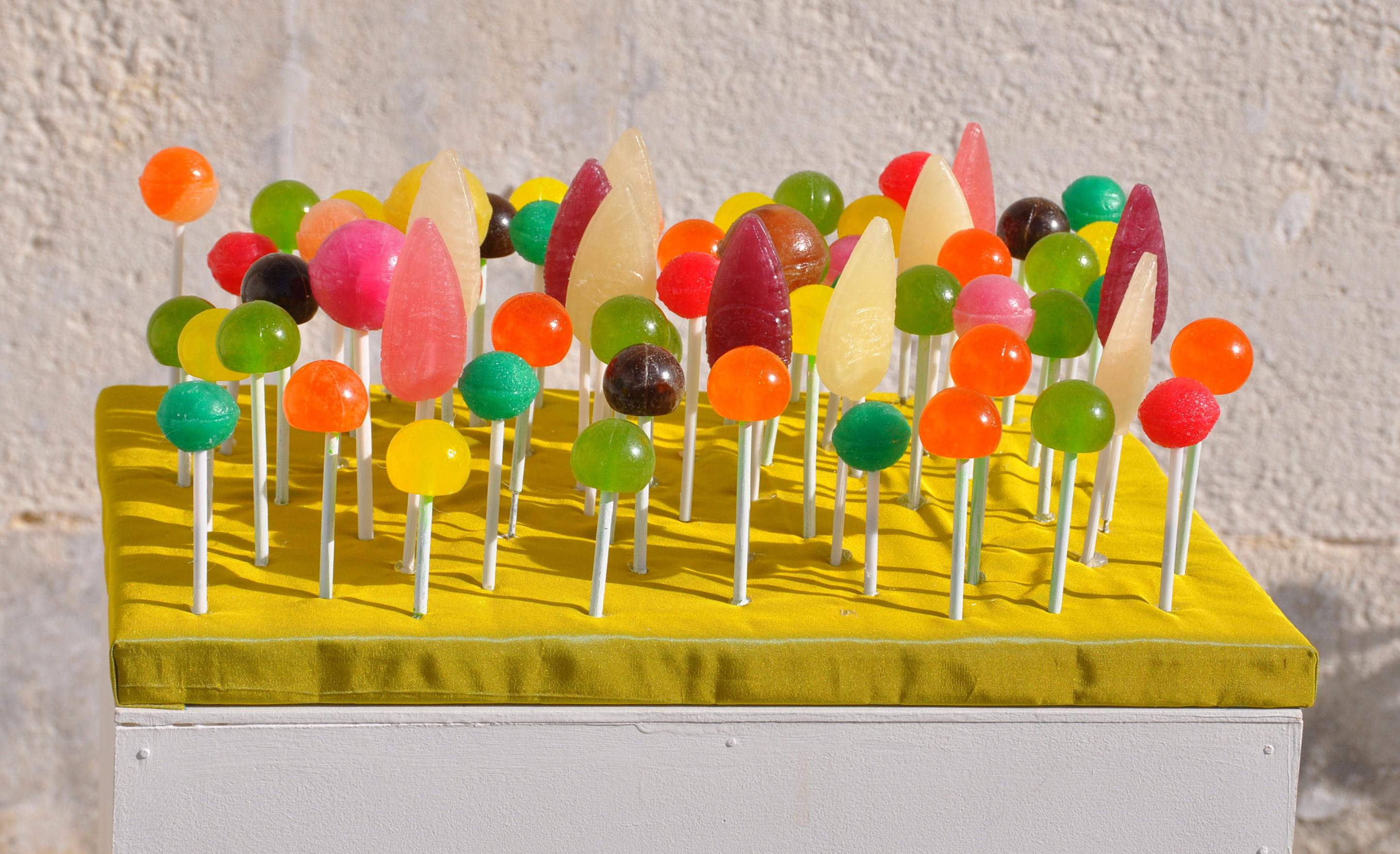 ma toute petite forêt ma toute petite forêt